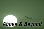 Above & Beyond , PIM by 1Soft